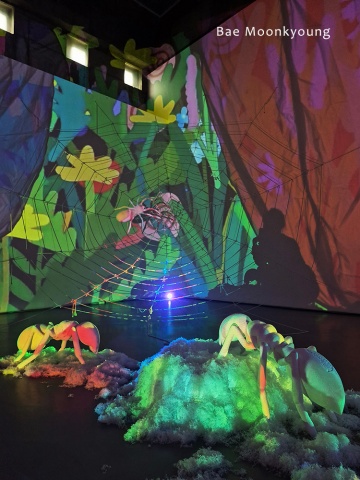 배문경 포트폴리오