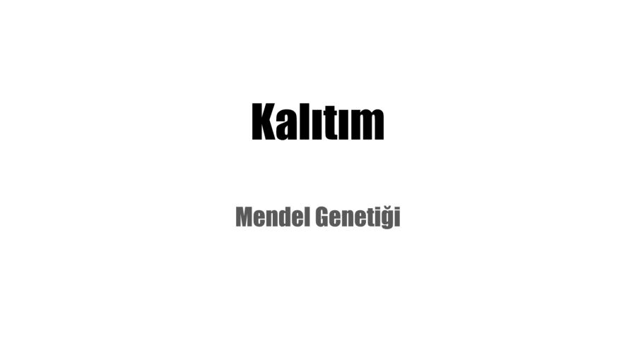 Kalıtım_Neat