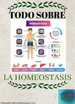 todosobrelahomeostasis_original_Neat