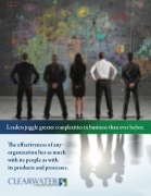 Clearwater Consulting Group brochure