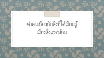 เพลิน 6/1