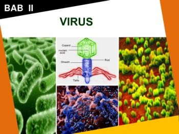 BAB II  VIRUS