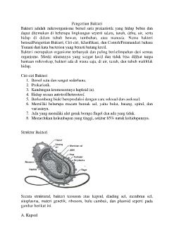 Bakteri_pdf