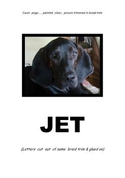 Petbook-FLIP-Jet