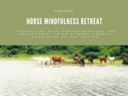 Horse Mindfullnes Retreat 