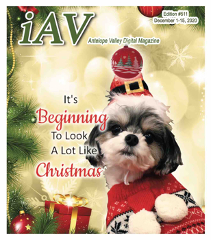 IAV Digital Magazine #511