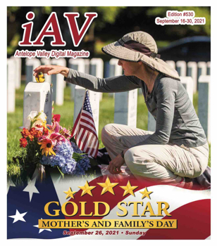 IAV Digital Magazine #530