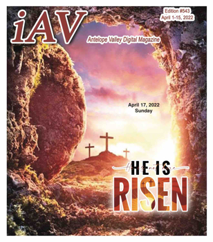 IAV Digital Magazine #543