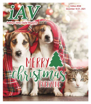 IAV Digital Magazine #536