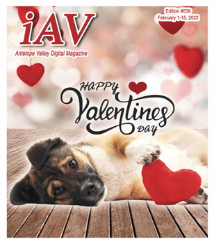 IAV Digital Magazine #539