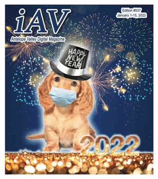 IAV Digital Magazine #537