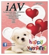 iAV Digital Magazine Edition #371