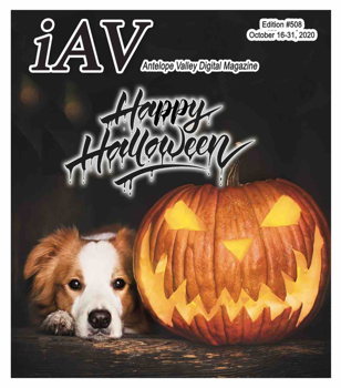 IAV Digital Magazine #508