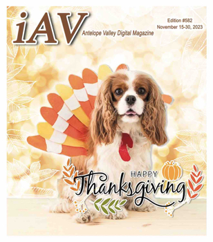 IAV Digital Magazine #582