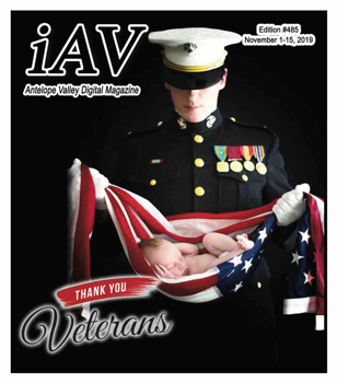 IAV Digital Magazine #485