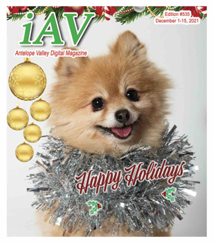 IAV Digital Magazine #535