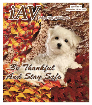 IAV Digital Magazine #510