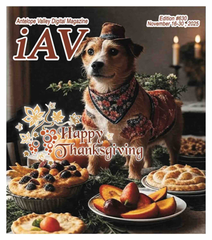 IAV Digital Magazine #630