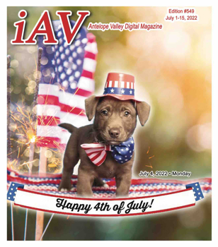 IAV Digital Magazine #549