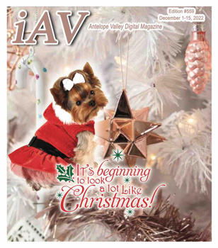 IAV Digital Magazine #559