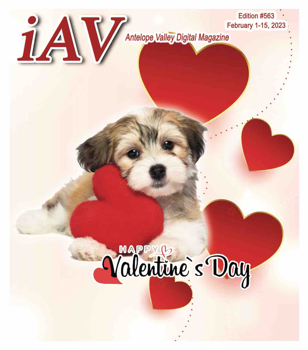 IAV Digital Magazine #563