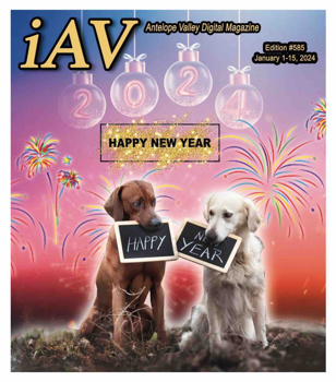 IAV Digital Magazine #585