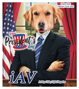 IAV Digital Magazine #540