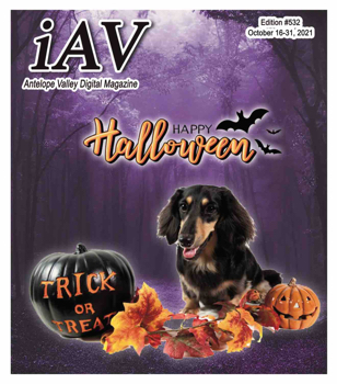 IAV Digital Magazine #532