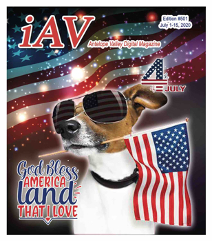 IAV Digital Magazine #501