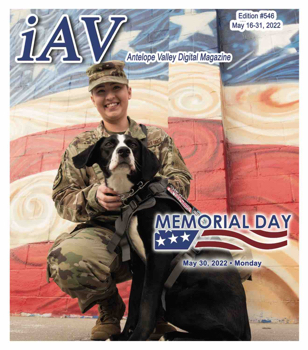 IAV Digital Magazine #546