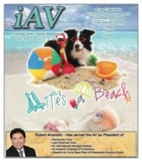 IAV Digital Magazine #382