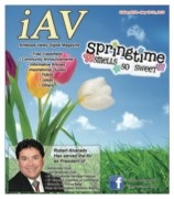 IAV  Digital Magazine #378