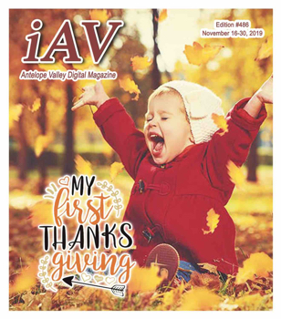 IAV Digital Magazine #486