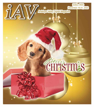 IAV Digital Magazine #560