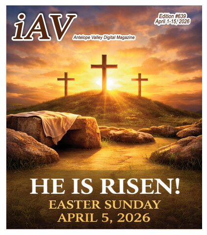 iAV Edition #639