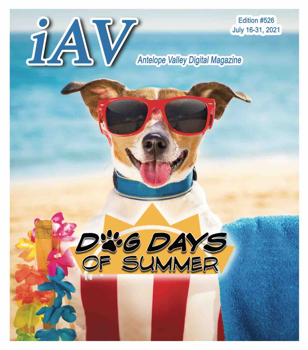 IAV Digital Magazine #526