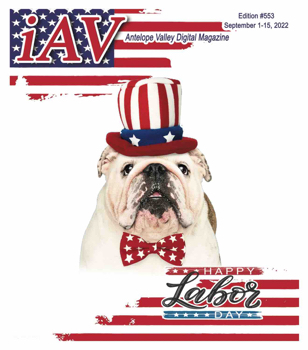 IAV Digital Magazine #553