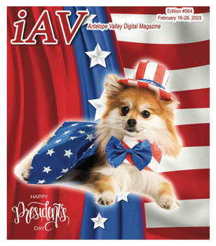 IAV Digital Magazine #564