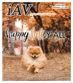 IAV Digital Magazine #509