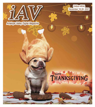 IAV Digital Magazine #534