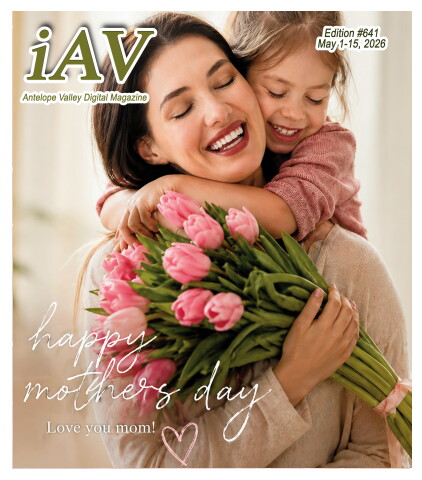 AV Free Edition #641