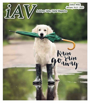 IAV Digital Magazine #562