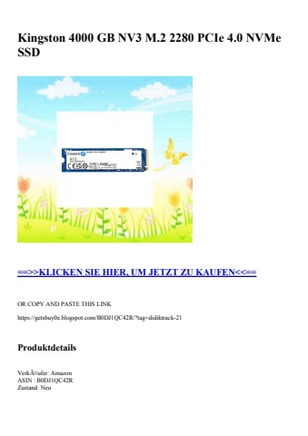 9968 kingston 4000 gb nv3 m