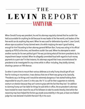 The Levin Report