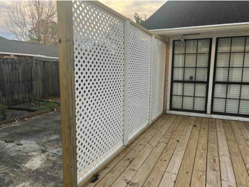Backyard Project