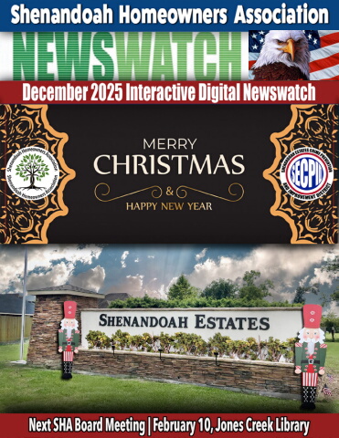 December 2025 Newswatch