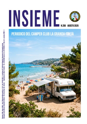 insieme 206-2026