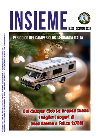 insieme 203-2025