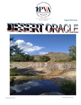 Desert Oracle August 2021