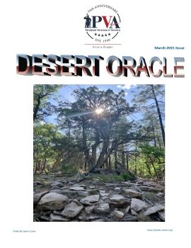 Desert Oracle March 2021